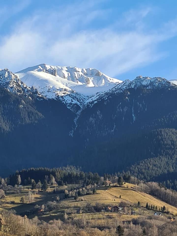 Vila Muntii Bucegi & Spa Bran  Exterior foto