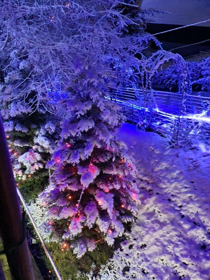 Vila Muntii Bucegi & Spa Bran  Exterior foto